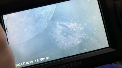 IMG_0536.jpeg