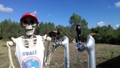 beer.jpg